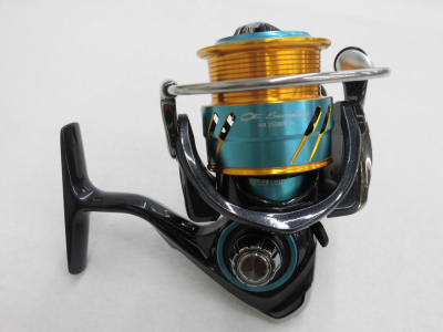 DAIWA - 14エメラルダスMX 2508PEの+inforsante.fr